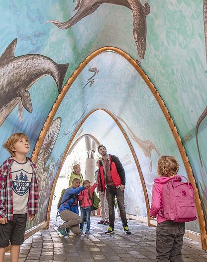 Triassic Park - Bergbahnen Steinplatte
