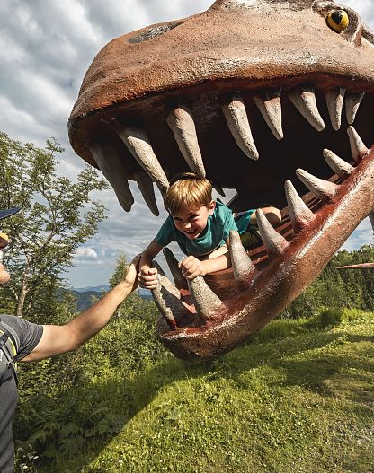 TriassicPark auf der Steinplatte Waidring Tirol
