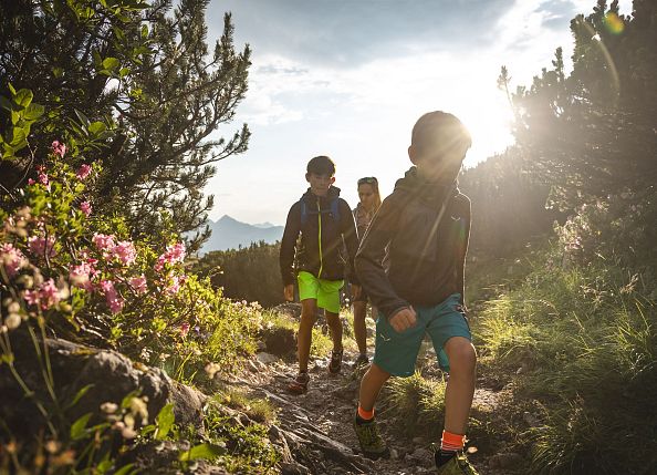 TriassicPark auf der Steinplatte Waidring Tirol