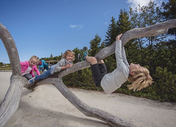 TriassicPark auf der Steinplatte Waidring Tirol