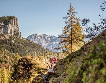 Bergbahnen Steinplatte-Waidring