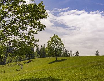 Skigebiet Natur Sport Heutal