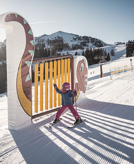 Snowpark Steinplatte (c) Freezing Motions by Klaus Listl (6)